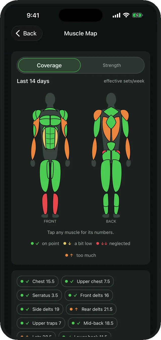Interactive muscle map showing weekly coverage per muscle region